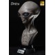Elite Creature Collectibles The Grey 1/1 Scale Bust 53 cm (Restock)